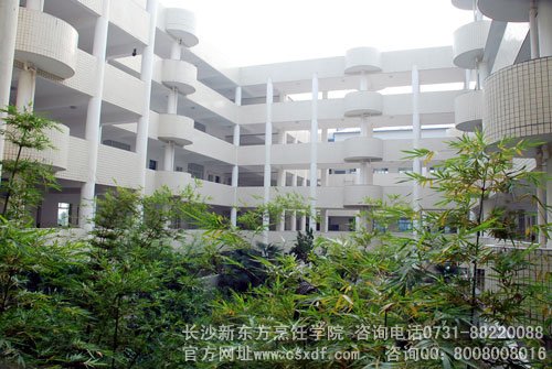 环境好的专科学校_湖南新东方厨师学校